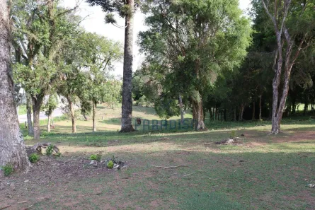 Terreno / Lote / Condomínio para venda ou aluguel, 2100m² no Colônia Rio Grande, São José dos Pinhais