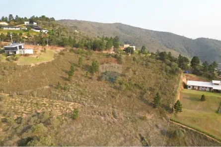 Terreno / Lote / Condomínio à venda, 3001m² no Pedro do Rio, Petrópolis