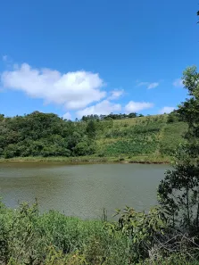 Fazenda / Sítio / Chácara com 2 Quartos à venda, 90m² no , Pilar do Sul