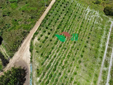 Fazenda / Sítio / Chácara com 2 Quartos à venda, 160000m² no Mata Redonda, Alhandra