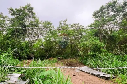 Terreno / Lote Comercial à venda, 356000m² no Colônia Antônio Aleixo, Manaus