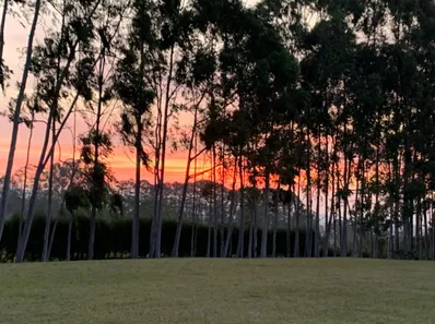 Fazenda / Sítio / Chácara com 3 Quartos à venda, 200m² no , Sarapuí
