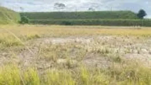 Galpão / Depósito / Armazém para alugar, 5000m² no Cabiúnas, Macaé