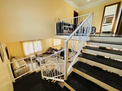Fazenda / Sítio / Chácara com 3 Quartos para alugar, 450m² no Jardim Colibri, Marília