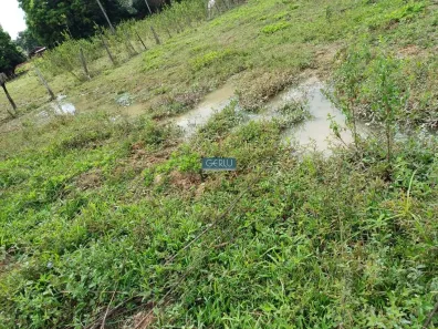 Fazenda / Sítio / Chácara com 3 Quartos à venda, 200m² no Centro, Esmeraldas
