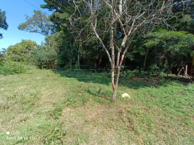Galpão / Depósito / Armazém para alugar, 60m² no Água Vermelha, São Carlos