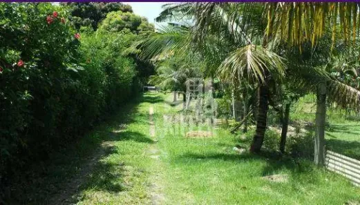 Fazenda / Sítio / Chácara com 5 Quartos à venda, 273m² no Manoel Ribeiro (Ponta Negra), Maricá