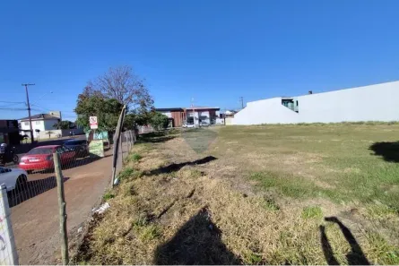 Loja / Salão / Ponto Comercial para alugar, 1606m² no Cascavel Velho, Cascavel