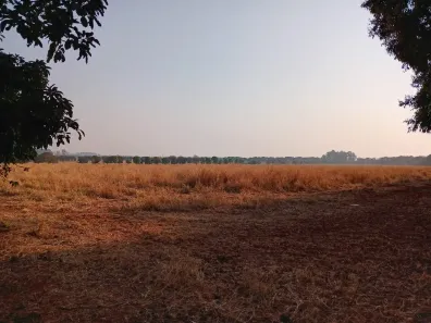 Fazenda / Sítio / Chácara com 2 Quartos à venda, 1880000m² no Ponte Alta Norte, Brasília