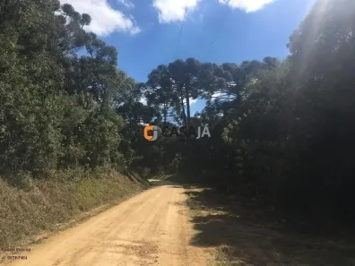 Fazenda / Sítio / Chácara com 1 Quarto à venda, 100m² no , Contenda