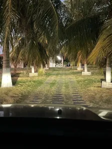 Fazenda / Sítio / Chácara com 4 Quartos à venda, 650m² no , Pindoretama