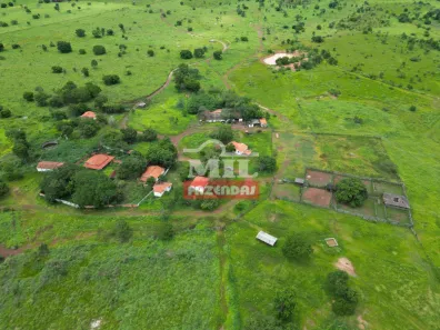 Fazenda / Sítio / Chácara à venda, 500m² no Centro, Formosa
