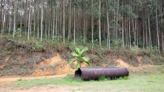 Fazenda / Sítio / Chácara com 2 Quartos à venda, 5660000m² no Fumaça, Resende