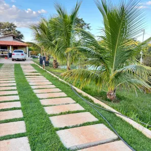 Fazenda / Sítio / Chácara com 3 Quartos à venda, 3000m² no , Nerópolis