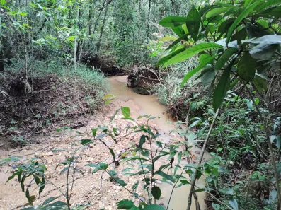 Fazenda / Sítio / Chácara à venda, 12000m² no Conjunto Habitacional Conceição Gomes Rabelo, Santo Antônio do Descoberto