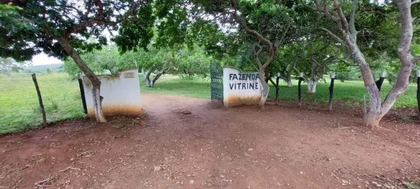 Fazenda / Sítio / Chácara com 5 Quartos à venda, 250000m² no Pombos, Pombos