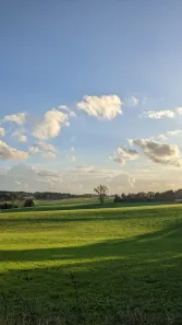 Terreno / Lote / Condomínio à venda, 1000m² no , Alumínio