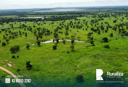 Fazenda / Sítio / Chácara à venda, 816m² no , Formoso do Araguaia