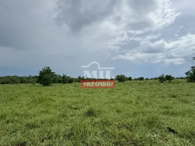 Fazenda / Sítio / Chácara à venda, 500m² no , Formoso do Araguaia
