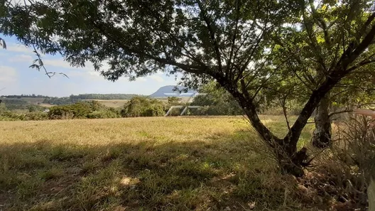 Fazenda / Sítio / Chácara à venda, 40753m² no Centro, Ipeúna