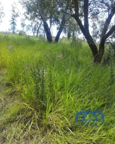 Terreno / Lote / Condomínio à venda, 2800m² no Saboó, São Roque