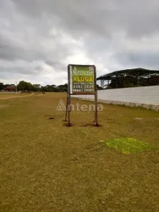 Terreno / Lote / Condomínio para alugar, 5000m² no Ipê, São José dos Pinhais