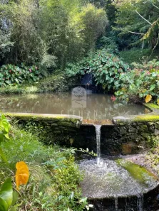 Fazenda / Sítio / Chácara com 3 Quartos à venda, 175000m² no , São Lourenço da Serra