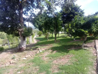 Fazenda / Sítio / Chácara com 4 Quartos à venda, 250000m² no Distrito Industrial (Prefeito José Augusto Ferrer de Morais), Vitória de Santo Antão