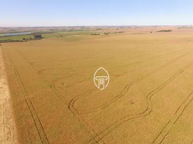 Fazenda / Sítio / Chácara à venda, 592900m² no , Leópolis