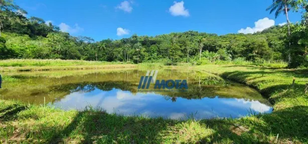 Fazenda / Sítio / Chácara com 3 Quartos à venda, 300m² no Rio do Cedro, Antonina