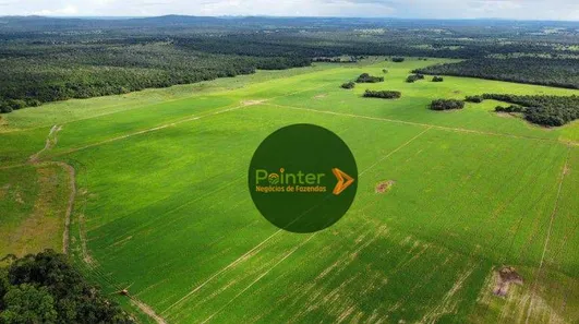 Fazenda / Sítio / Chácara à venda, 7000000m² no Setor Central, Gurupi