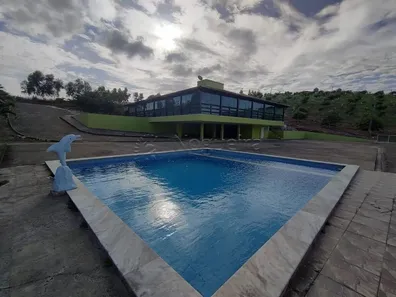 Fazenda / Sítio / Chácara com 4 Quartos à venda, 2650000m² no Alto José Leal, Vitória de Santo Antão