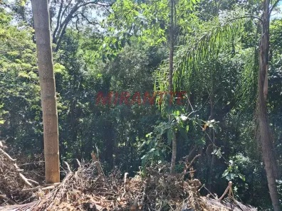 Terreno / Lote / Condomínio à venda, 1100m² no Roseira, Mairiporã