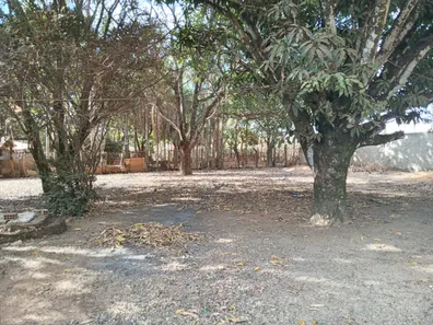 Fazenda / Sítio / Chácara com 2 Quartos à venda, 5000m² no Setor Central, Padre Bernardo
