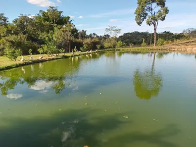 Fazenda / Sítio / Chácara com 3 Quartos à venda, 390000m² no Área Rural de Novo Gama, Novo Gama