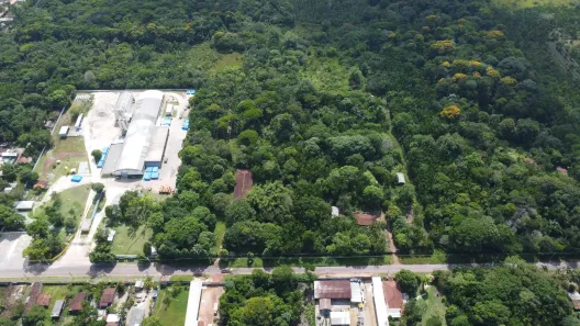 Terreno / Lote / Condomínio à venda, 20000m² no Benevides, Benevides