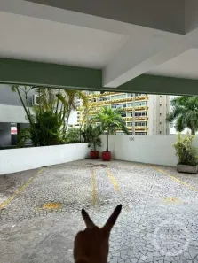 Garagem à venda, 6m² no Gonzaga, Santos