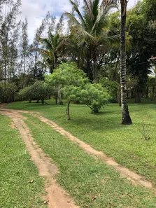 Fazenda / Sítio / Chácara com 4 Quartos à venda, 251m² no Vila Verde, Armação dos Búzios