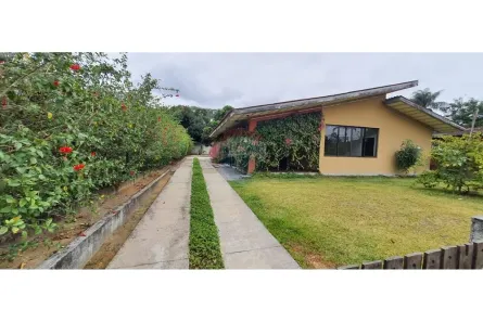 Casa de Condomínio com 4 Quartos à venda, 230m² no , Paudalho