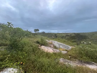 Fazenda / Sítio / Chácara à venda, 7200m² no , Sairé