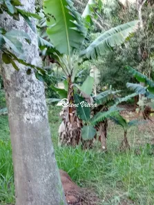 Terreno / Lote / Condomínio à venda, 1300m² no , Igaratá