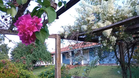 Fazenda / Sítio / Chácara com 3 Quartos à venda, 160m² no Cercado, Araçoiaba da Serra