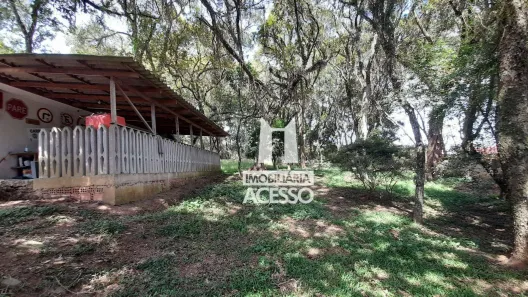Casa com 4 Quartos à venda, 290m² no Bom Jesus, Campo Largo