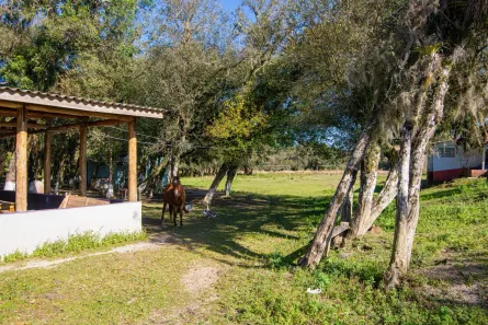 Fazenda / Sítio / Chácara à venda, 97075m² no Weissópolis, Pinhais