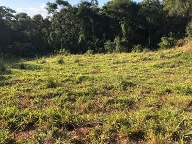 Fazenda / Sítio / Chácara com 1 Quarto à venda, 5121m² no Área Rural de Viçosa, Viçosa