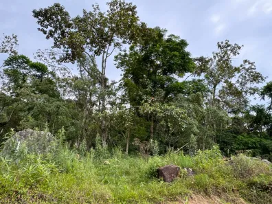 Fazenda / Sítio / Chácara à venda, 11000m² no Centro, Águas Mornas