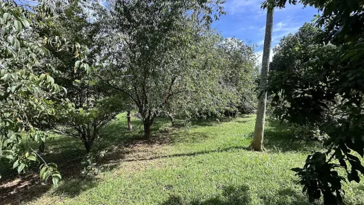 Terreno / Lote / Condomínio à venda, 1000m² no , Mairinque