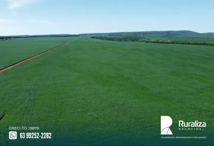 Fazenda / Sítio / Chácara à venda, 706m² no , Paraíso do Tocantins