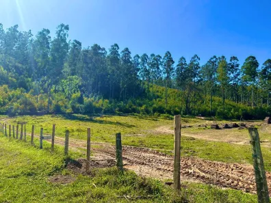 Fazenda / Sítio / Chácara com 4 Quartos à venda, 1000m² no , Alumínio