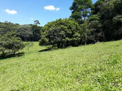 Fazenda / Sítio / Chácara à venda, 133100m² no , Vargem Grande Paulista